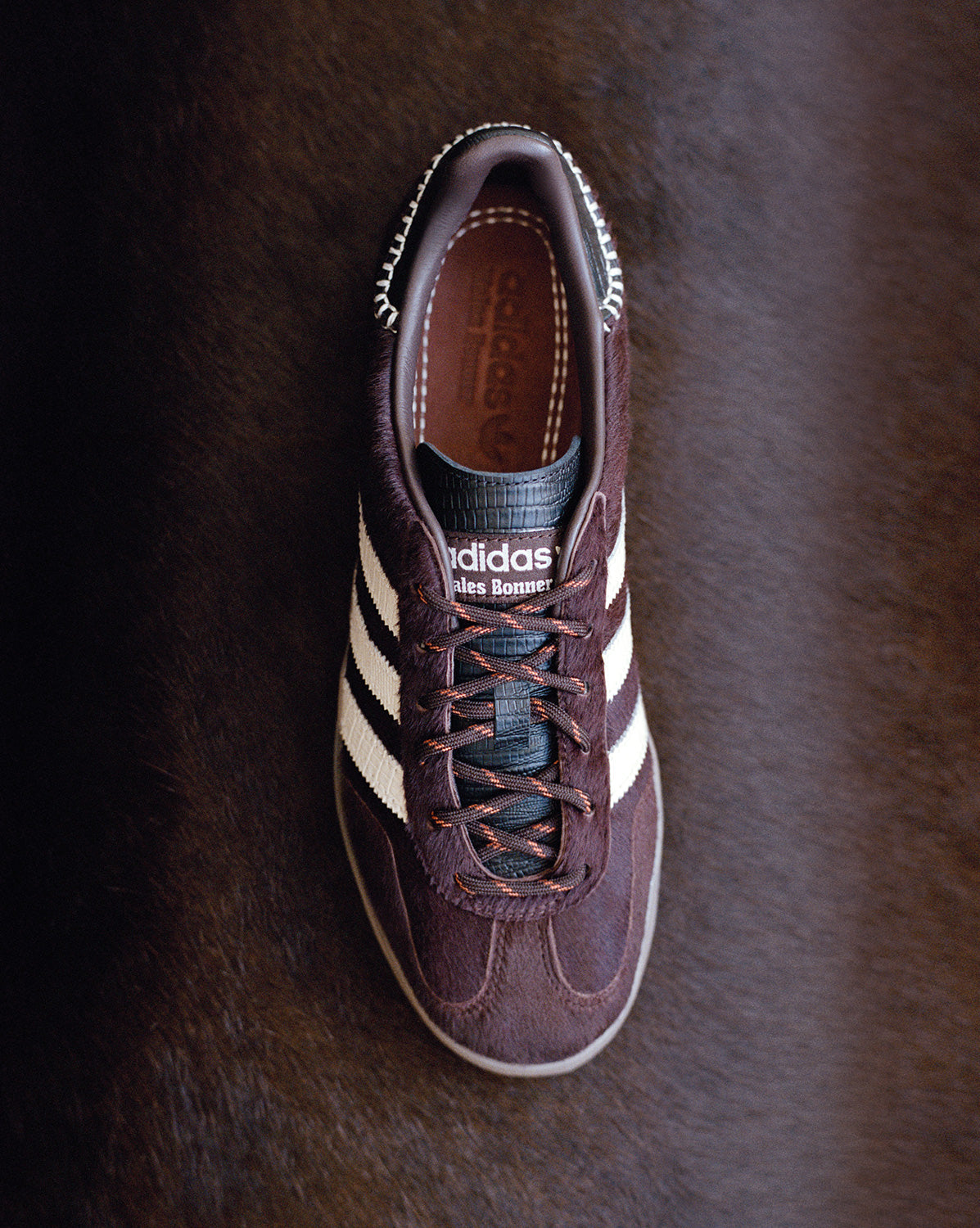 Adidas x Wales Bonner Gazelle *Pony*