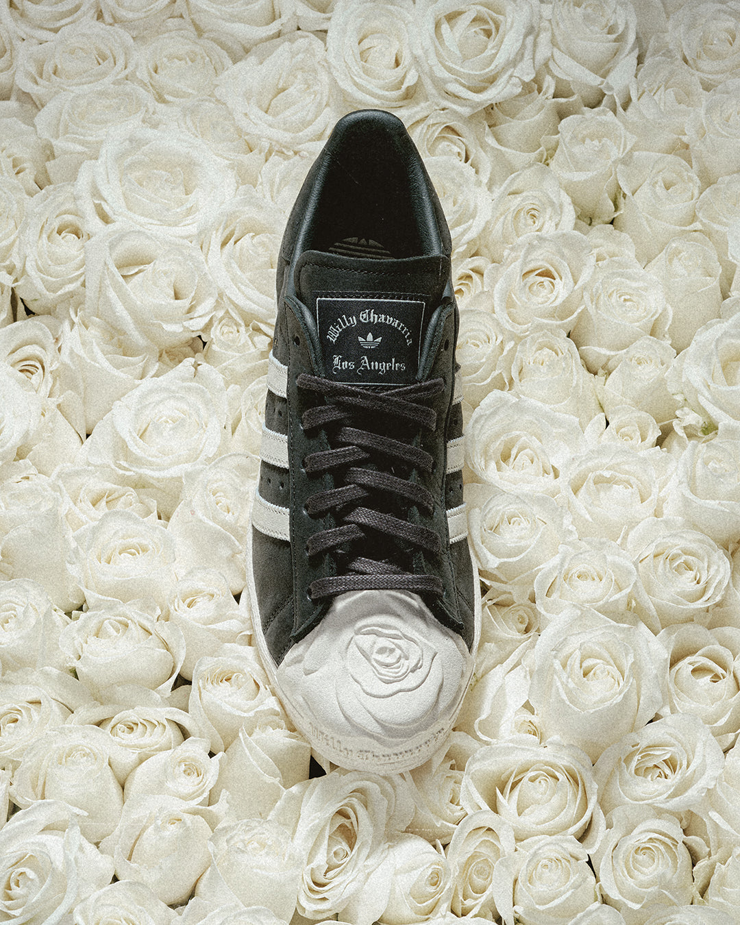 Adidas x Willy Chavarria Superstar