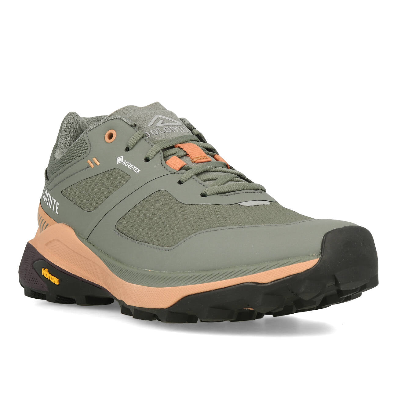 Dolomite Nibelia W's GTX Femme Silver Green Sand Pink