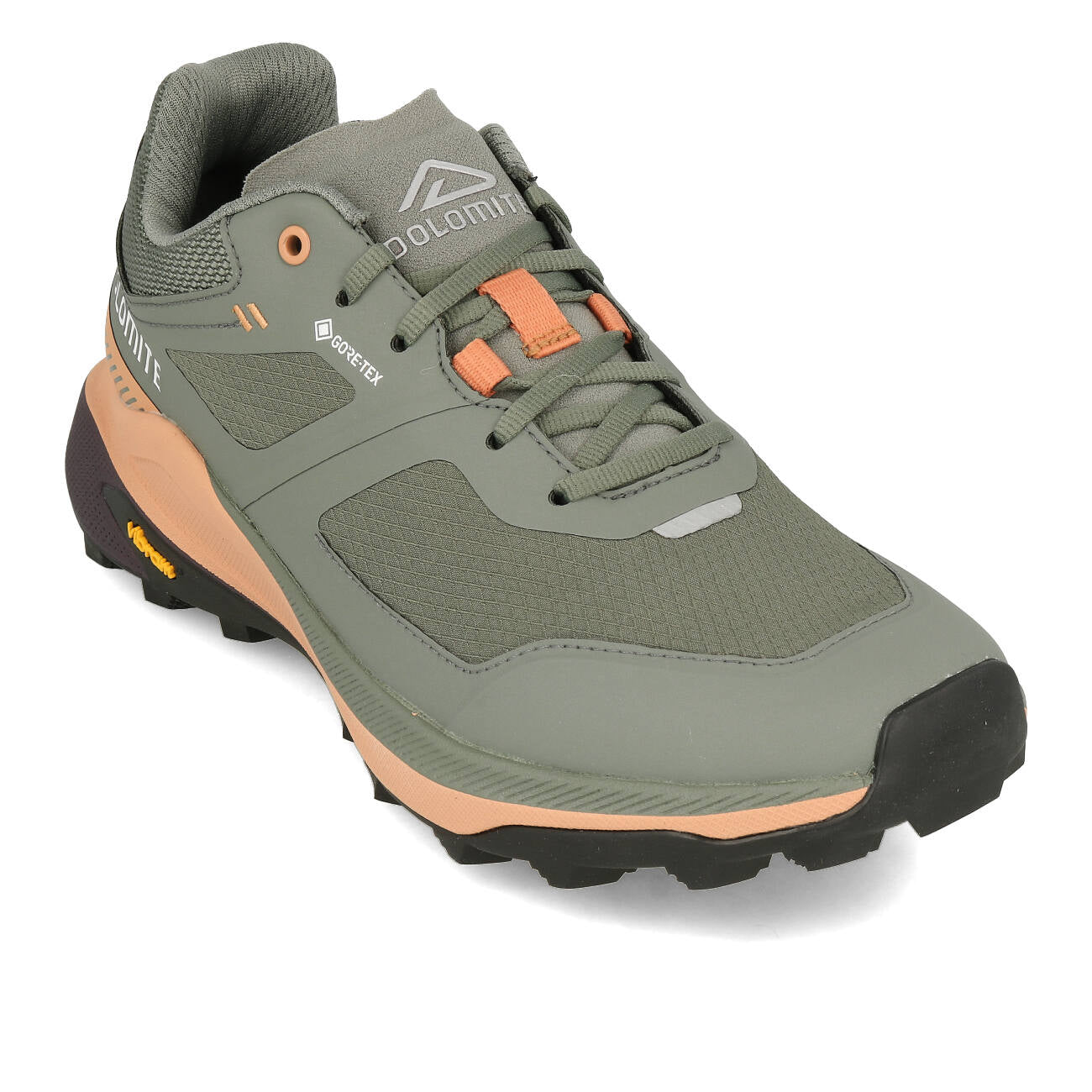 Dolomite Nibelia W's GTX Femme Silver Green Sand Pink