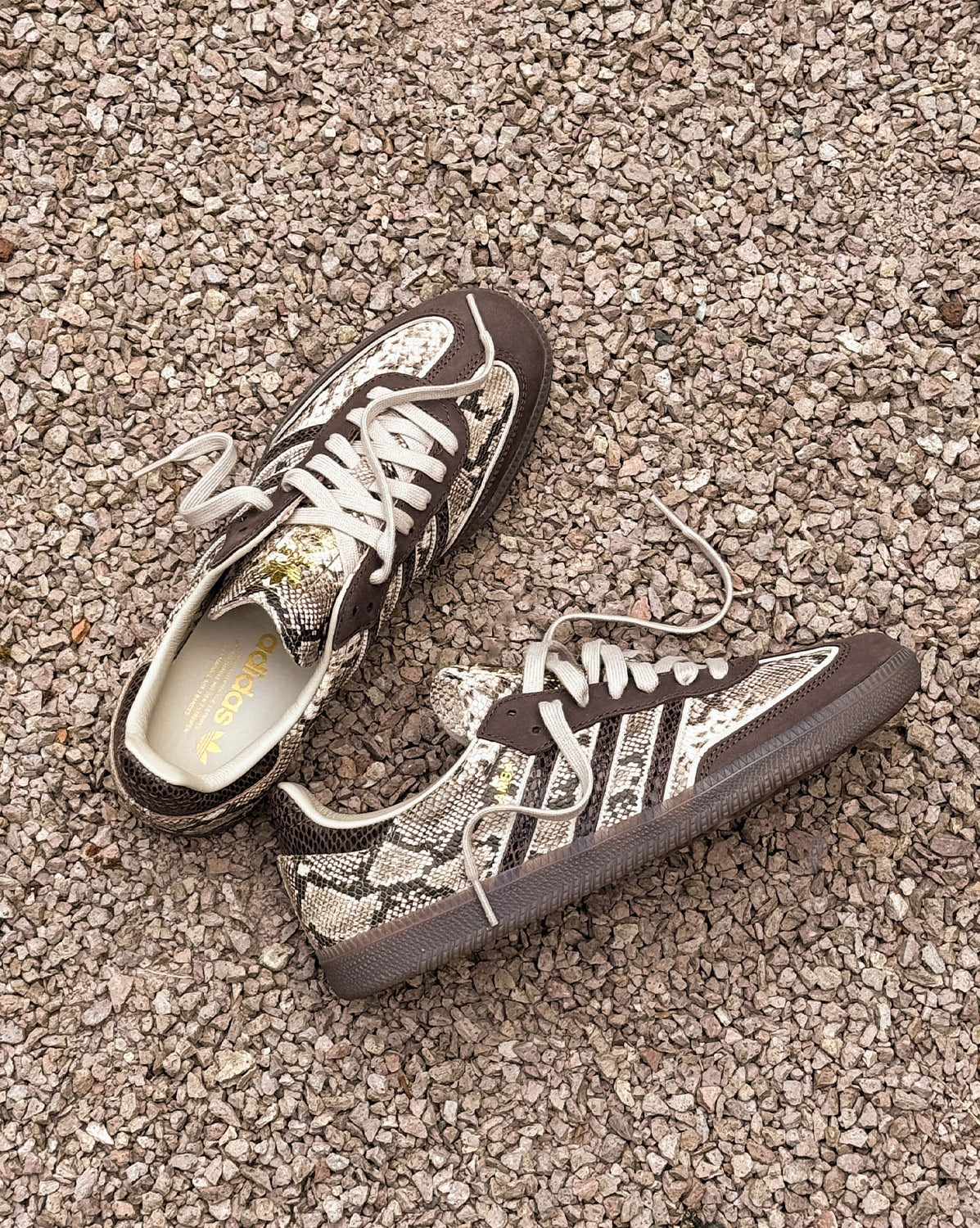 Adidas Samba OG *Serpent*