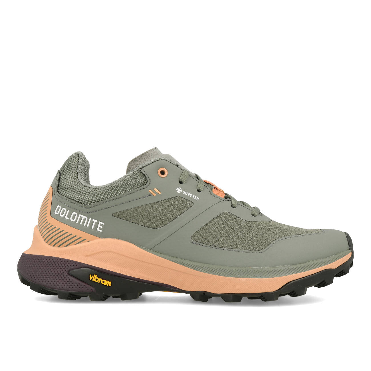 Dolomite Nibelia W's GTX Femme Silver Green Sand Pink