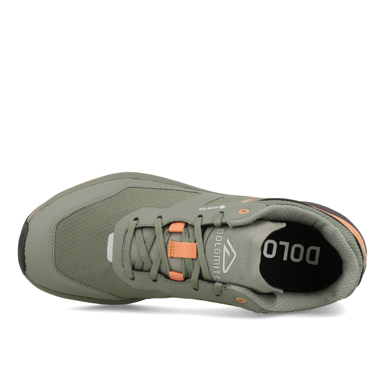 Dolomite Nibelia W's GTX Femme Silver Green Sand Pink