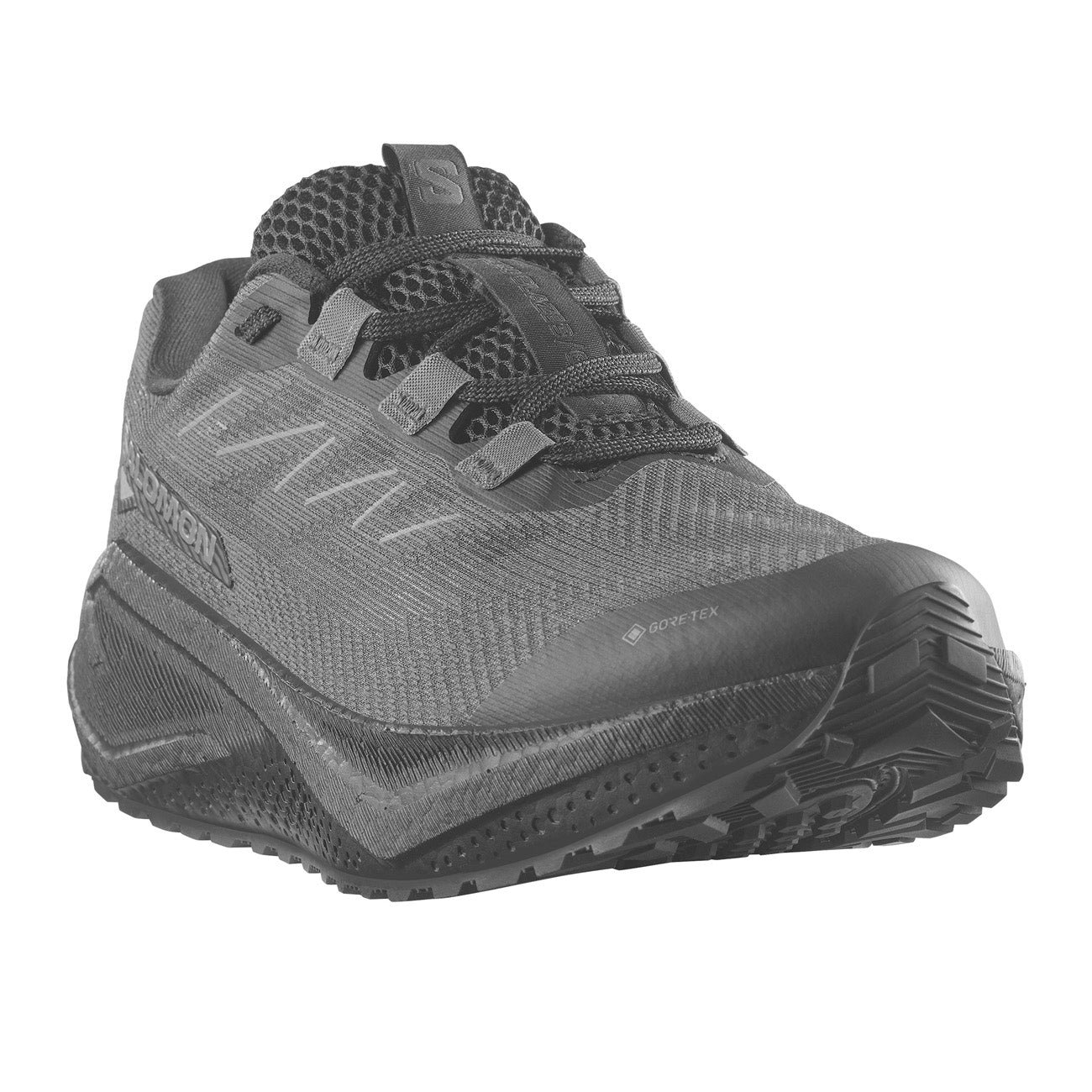Salomon Aero Blaze 3 GRVL GTX Femme Black Aspha