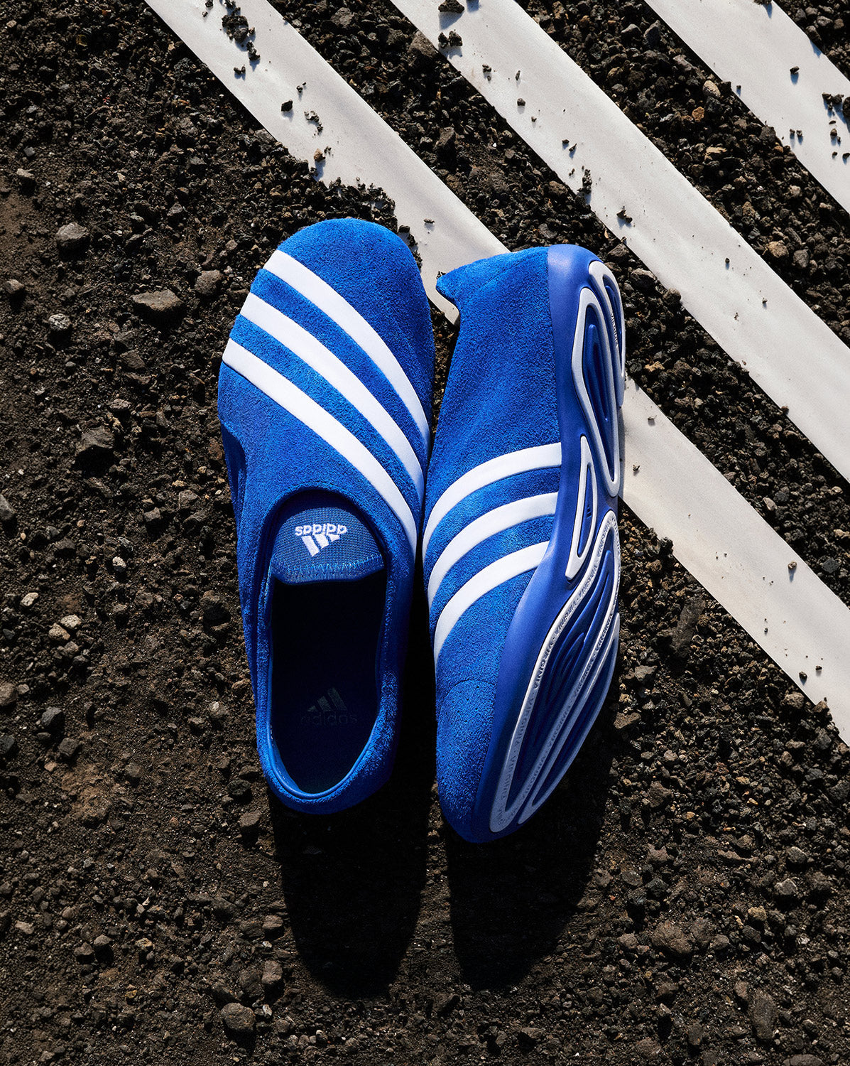Adidas x Pharrell Williams Flat Earther Vario